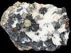 Cerussite Crystals with Bladed Barite on Galena- Morocco #44785-1